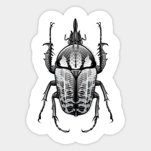 Goliath Beetle Sticker